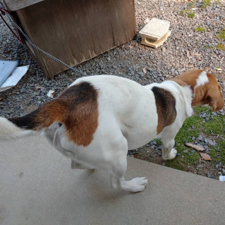 827b8976 a09d 477f 9710 c3eeb2a5cfc2 1587023544363