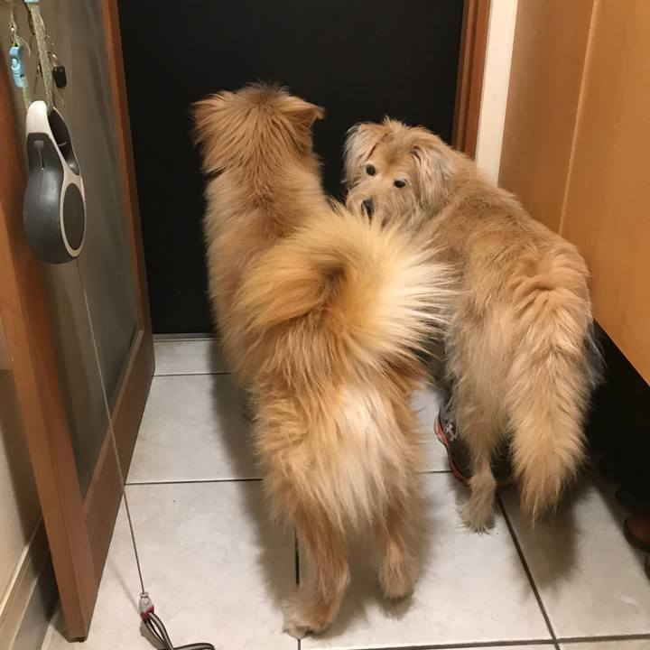 827bbb4a 4bcb 4a20 8168 53ab6d2aea0a 1544633628138