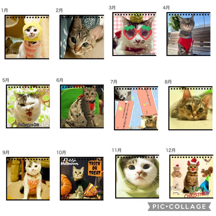 827bee0e bb1c 45ea 95cc 5ef6354f0366 1666328128602