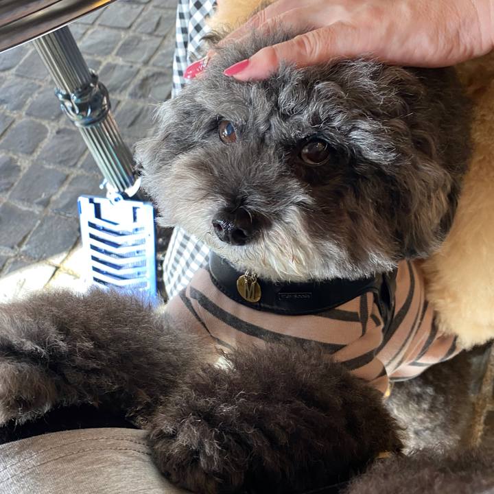 827c0f3b 669b 40b0 ae17 016f2cdaa84d 1634264229017