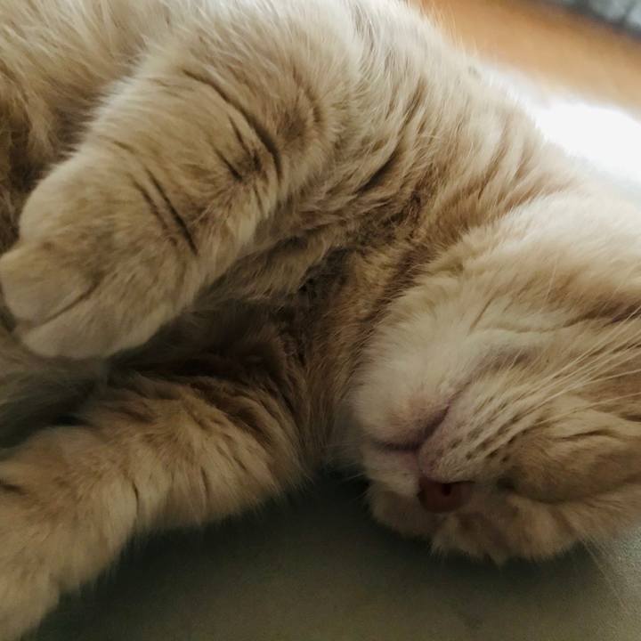 827c5a79 12f9 4521 a834 4edae68744f4 1573898129618