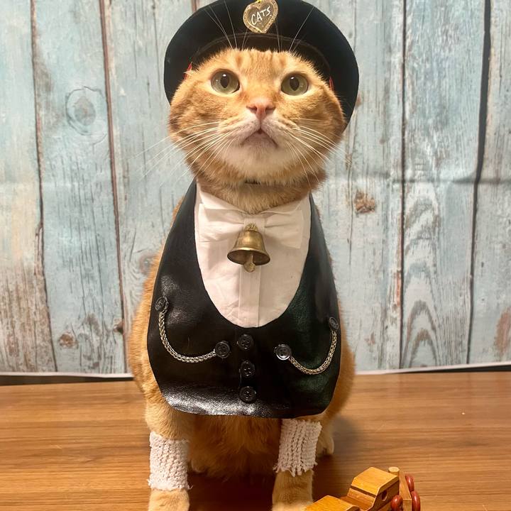 827c6588 6a5d 4f1b 8873 930ac7d1753e 1668856224981