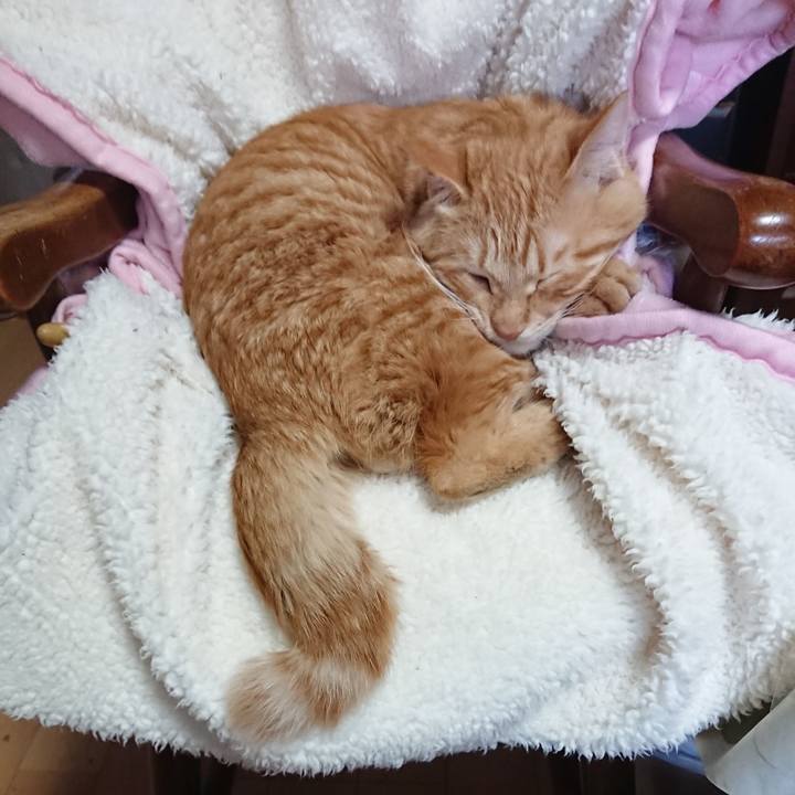 827c847a 1a80 4a92 883a 8cff15c6a406 1639974309353