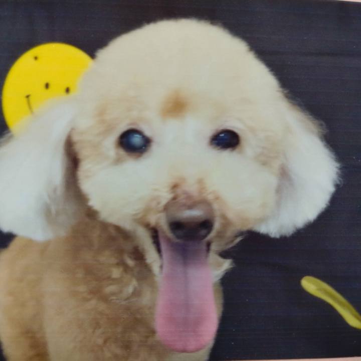 827cd3c3 2369 4636 a98e f68cd085370d 1664148772296