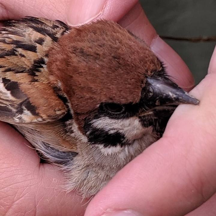 827cfbcf 7ee2 49e9 a89d 8dc14a1c78cf 1561590352198