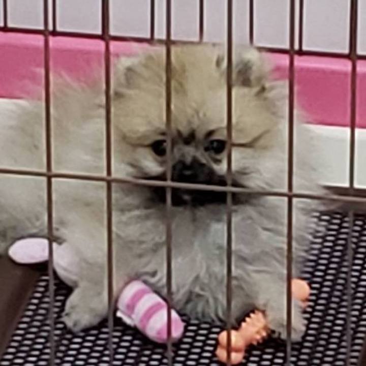 827d14eb b6d3 448d 9bed 794d2af76597 1610694369051