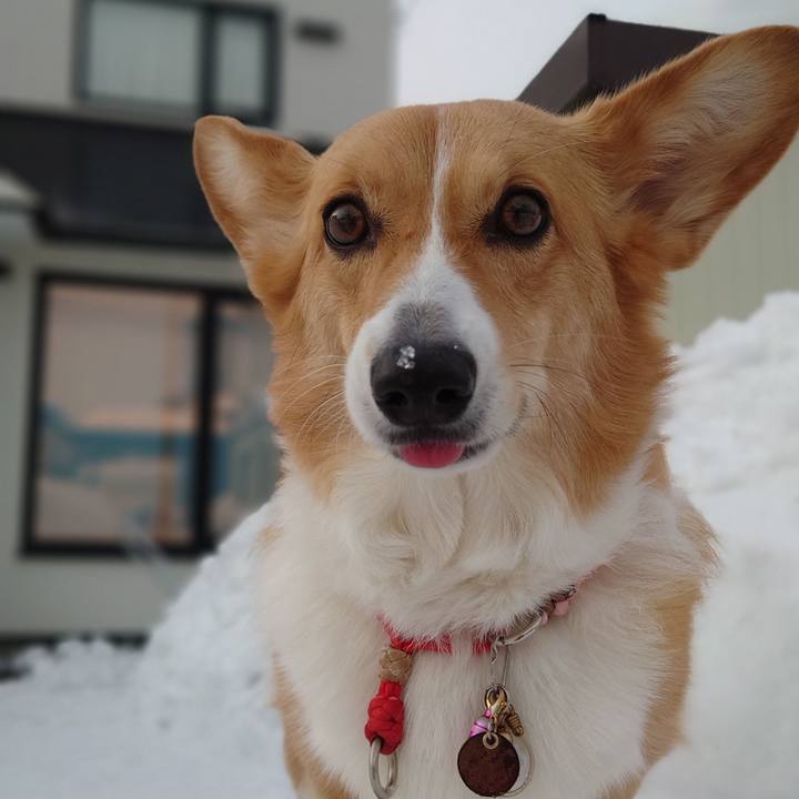 827d175b 2a45 4a4f 9790 7c616e6c8cc6 1771657708227