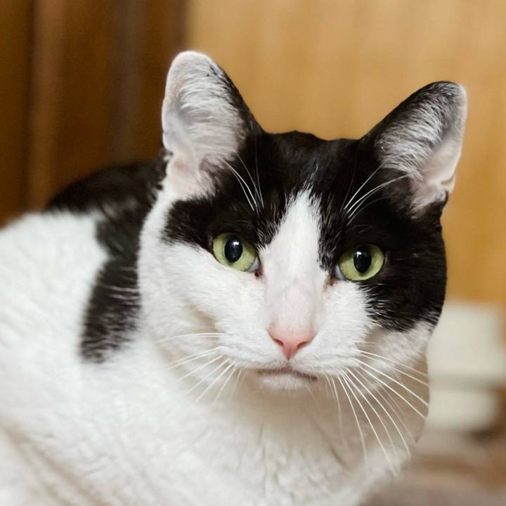 827dd7fa 9eeb 429b 997d 17e5b4dfe09e 1654309963076