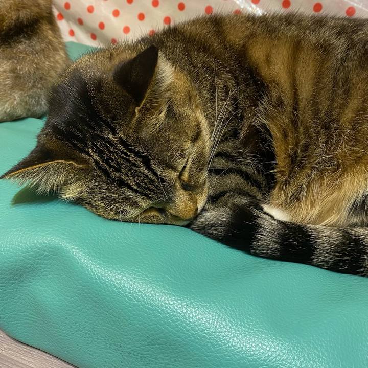 827ded28 b05b 43a8 a90e 180975b1af10 1636898882508