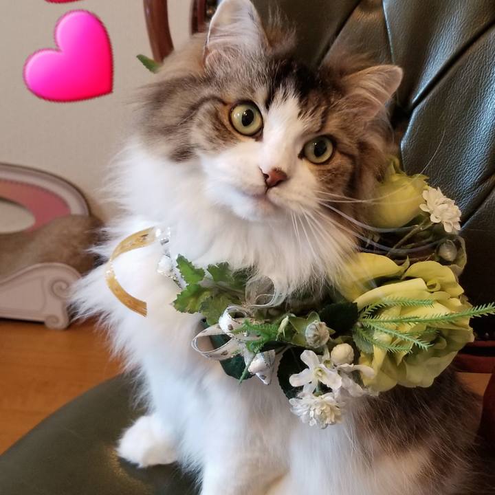 827e440b 4c18 47ac 9483 92ad2f57b916 1585787325402