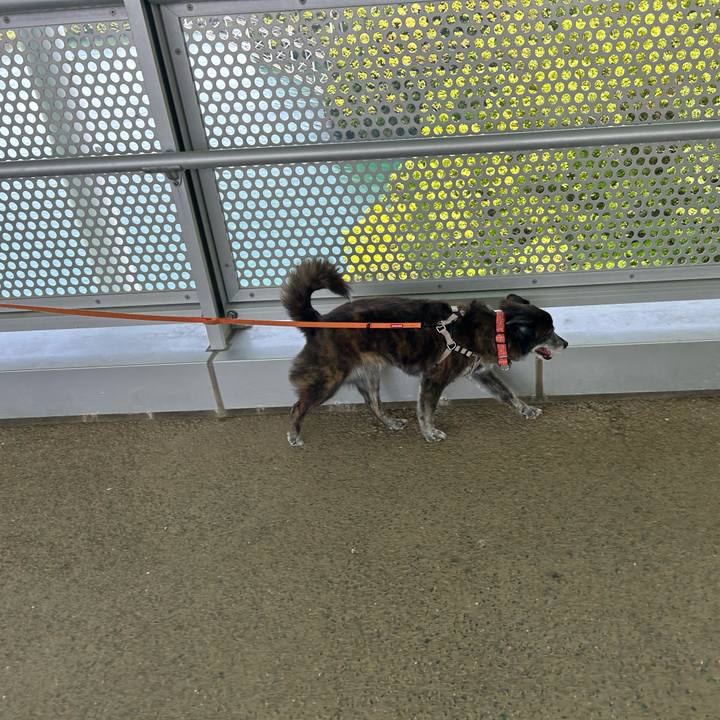 827e4c92 3083 4a08 b122 777e134c84e6 1715074226759