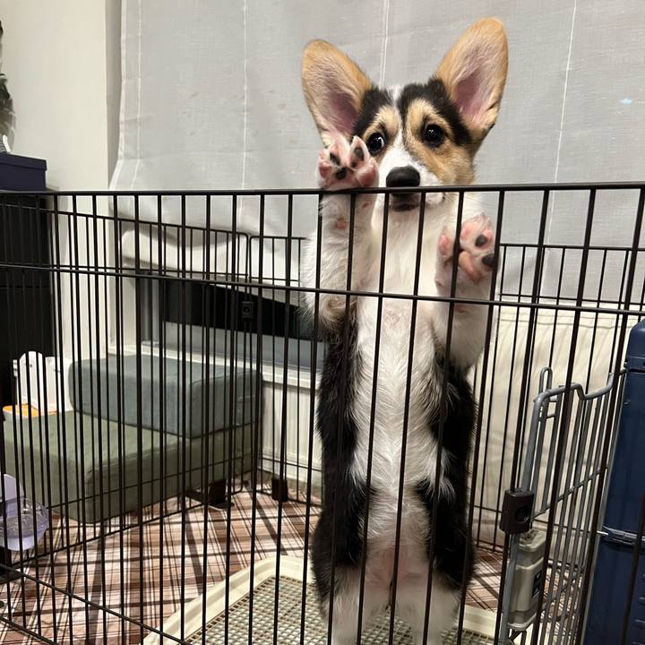 827e7a0f ef1e 4252 b46a ff0037c9698d 1772961580804