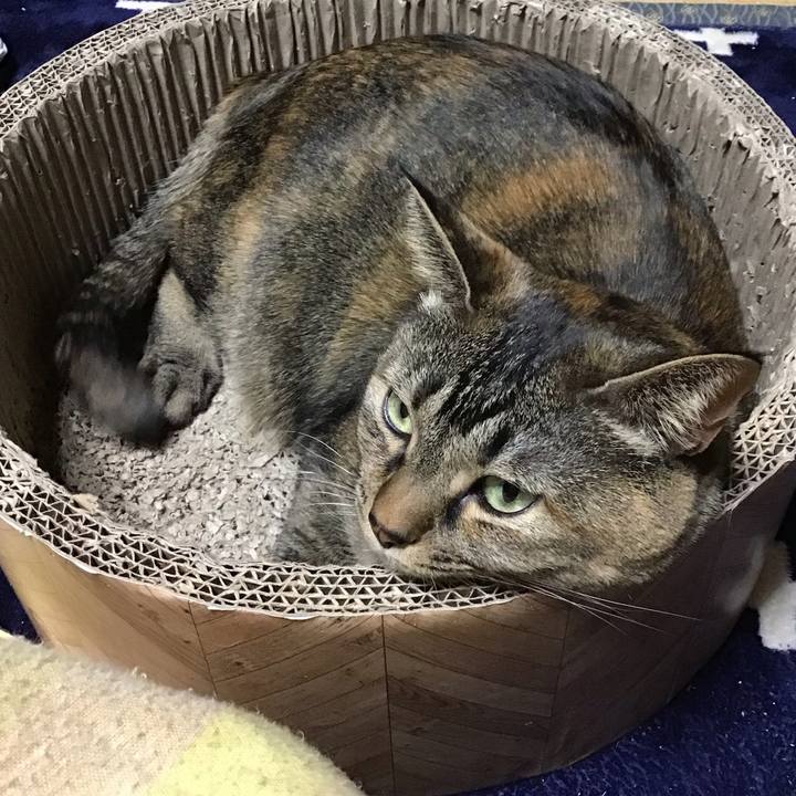 827e9506 a664 401e 9e67 8c5fb7b63f5a 1707642547438