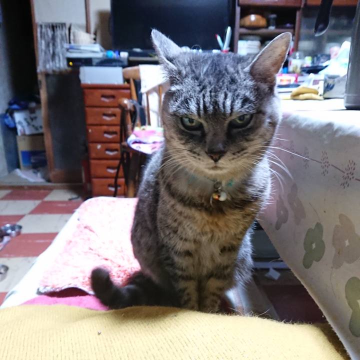 827eaf6d 43ac 4978 967b a0dc8036d011 1573330212012