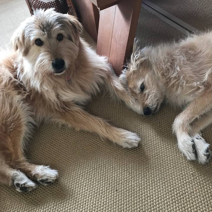 827eb678 45ff 48c7 9390 20de96521d79 1546909344042