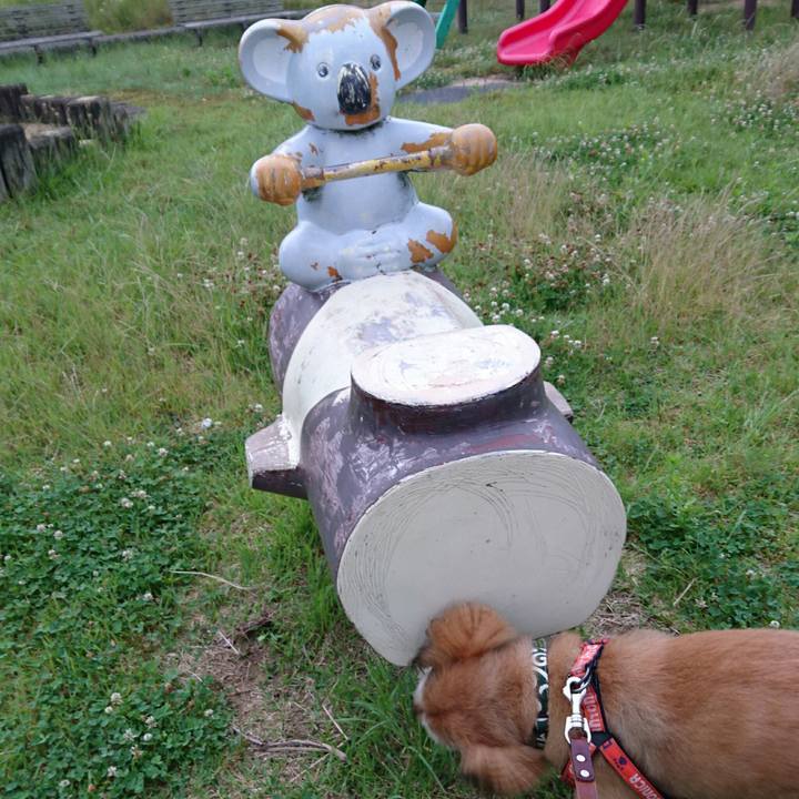 827f3001 9ecb 4e22 b4d7 73ddeabcdd62 1527718578315