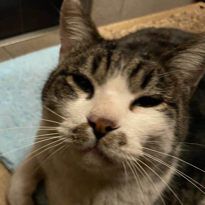 827f9595 f98f 498f 8061 b2fab8c117e9 1611730003130