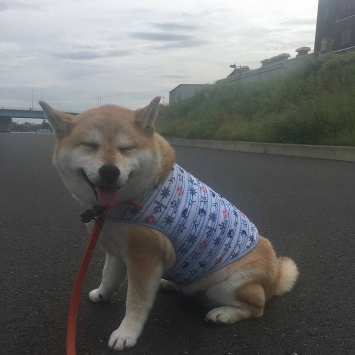 827f96a8 ea94 4633 87fe 7ac3a4d5d174 1559005173082