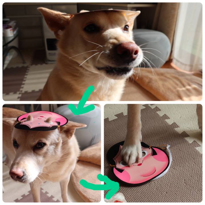 827fac3b 6f37 436a 93b0 c87b0afd5430 1517546242845