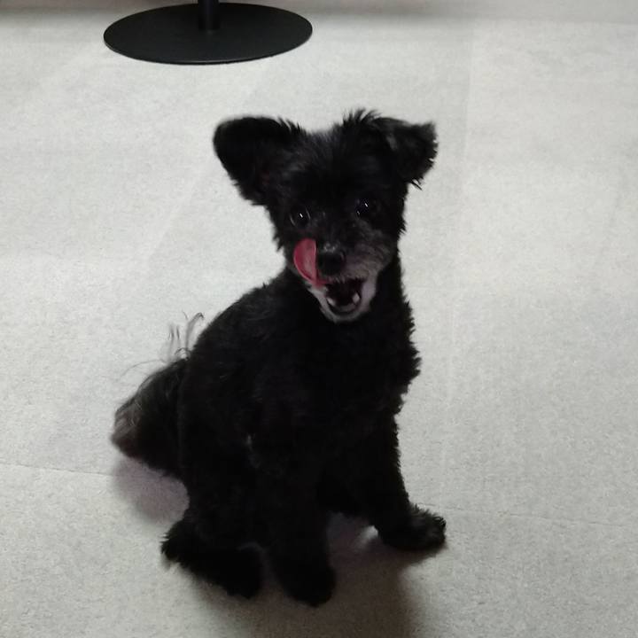 827fb0be aed7 4b82 a07c 0ab27c087e19 1624789627199