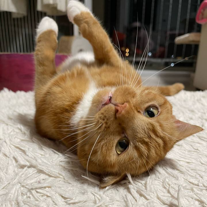 827fe0a5 f4f6 4ea9 bb38 7a809f49c2e4 1702207948989