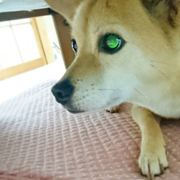 827ff6b4 cd40 4b9d 94b0 6915f623fd22 1529158750756