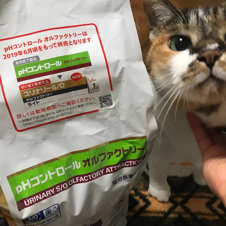 82800cf4 07c5 48ed be1e 6a97c29d0bd8 1559406392927