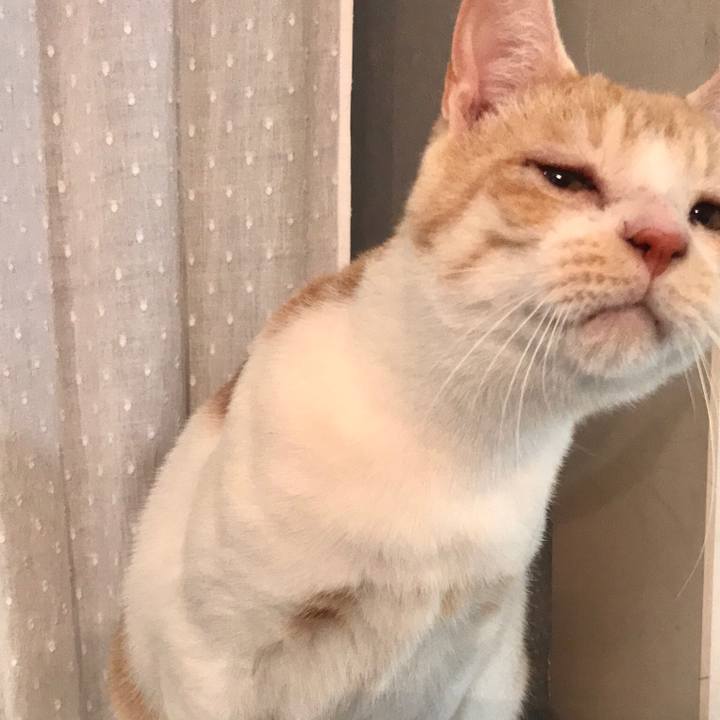 828010cf bbf7 4587 ad3a 4f0dc710da61 1543832361411