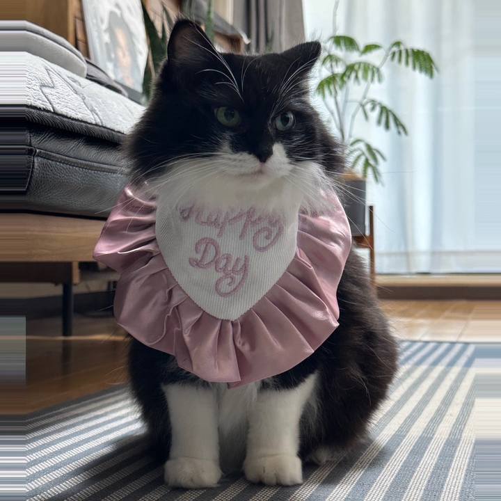 82802b7e cf97 41a3 9b3b 09880f5a62ea 1756609050762