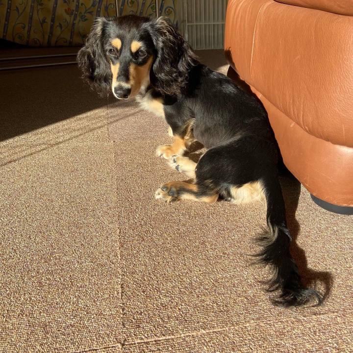 82803d78 d3f7 4455 911a 9d45a8f28049 1674086160940