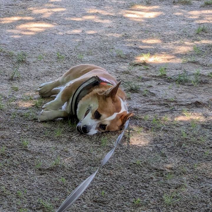 82804b84 f1a2 41dd 9c98 13ba91a660a0 1747118495114