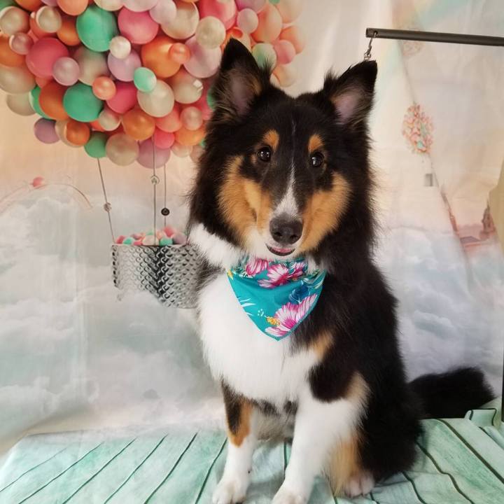 828084e0 b072 4e36 afea 47e35b815ba1 1531608673000