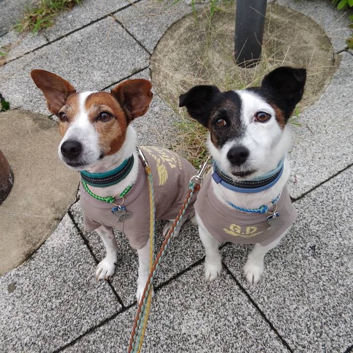 82808bce bee0 4458 9632 998e295091fa 1728511632979