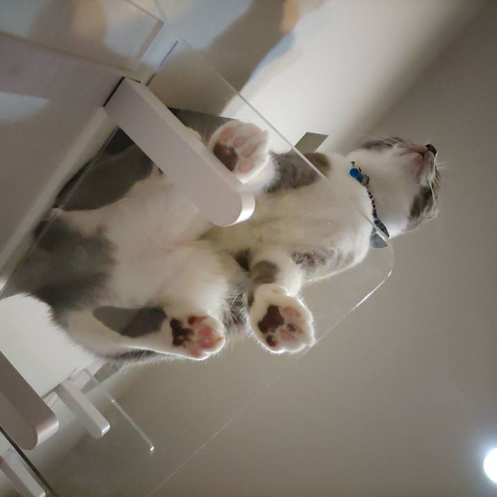 82809913 b66e 458f b3ec 1bc864889031 1690457260591