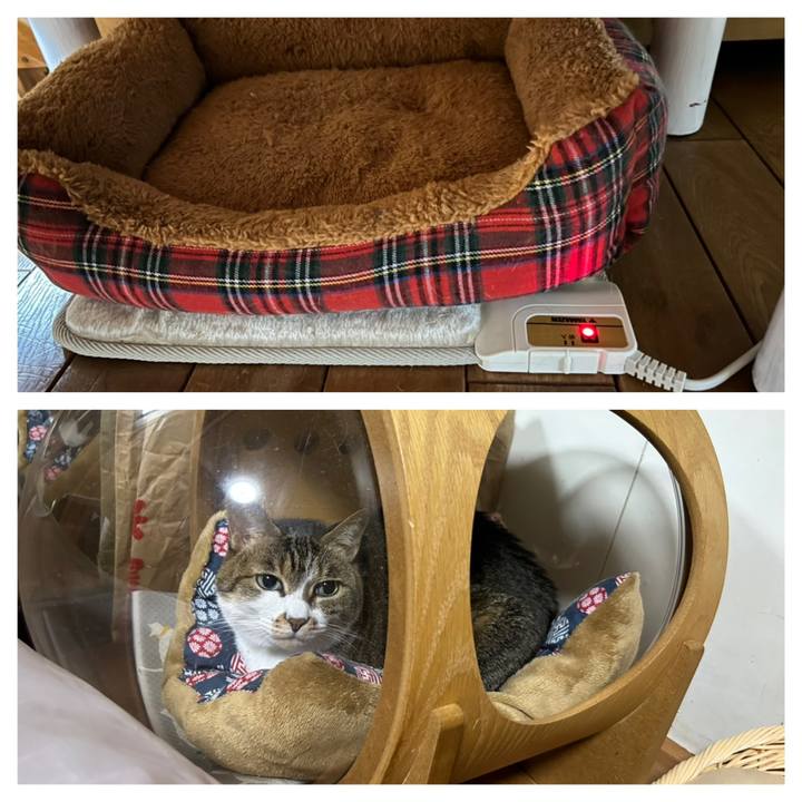 82809cfe 6064 4893 9bd6 5026da601cf4 1671226419264