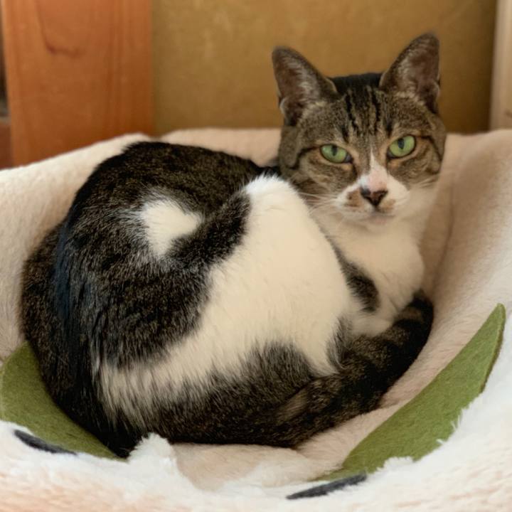 8280c915 5011 4cca 83f5 46dcf0f54e84 1556846112149