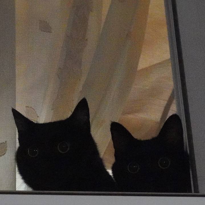 8280d884 0cc3 4d95 bb6e 2fee9ffbc81d 1623976146710