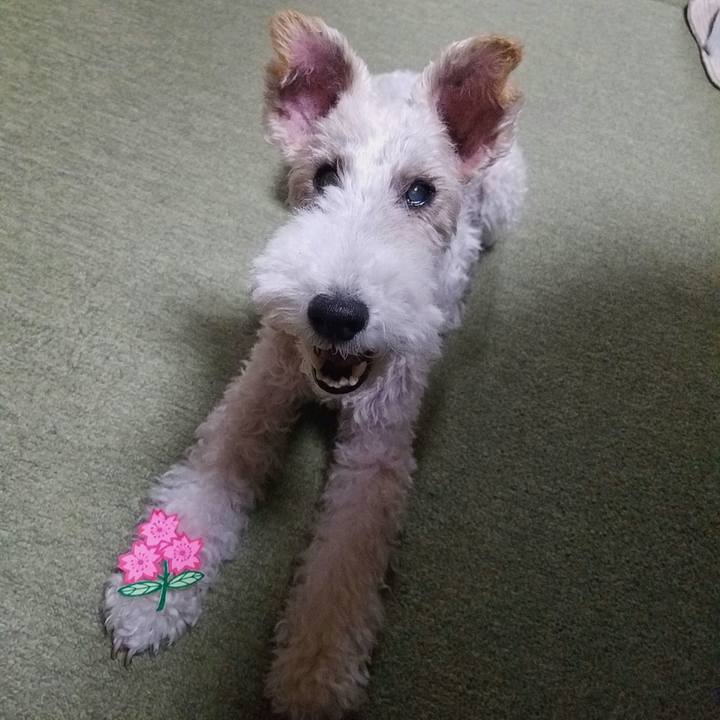 8280e9ba cf4e 475b 99c0 f0bab6c07fe3 1568979268879