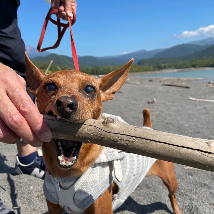 8280f668 c668 455e ae30 fe8f2e2ca757 1662279691136