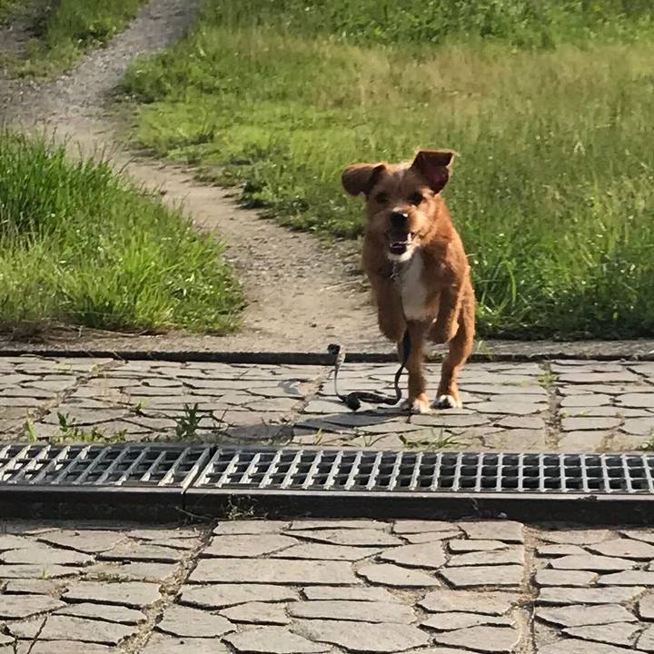 8281280f 2853 4aa3 b746 cacfacaab7f4 1531527849010