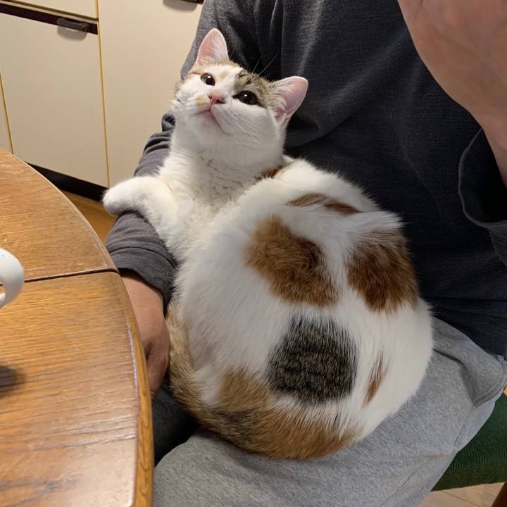 82812db1 09a6 40e1 8046 b17f0587e3f0 1618617418224