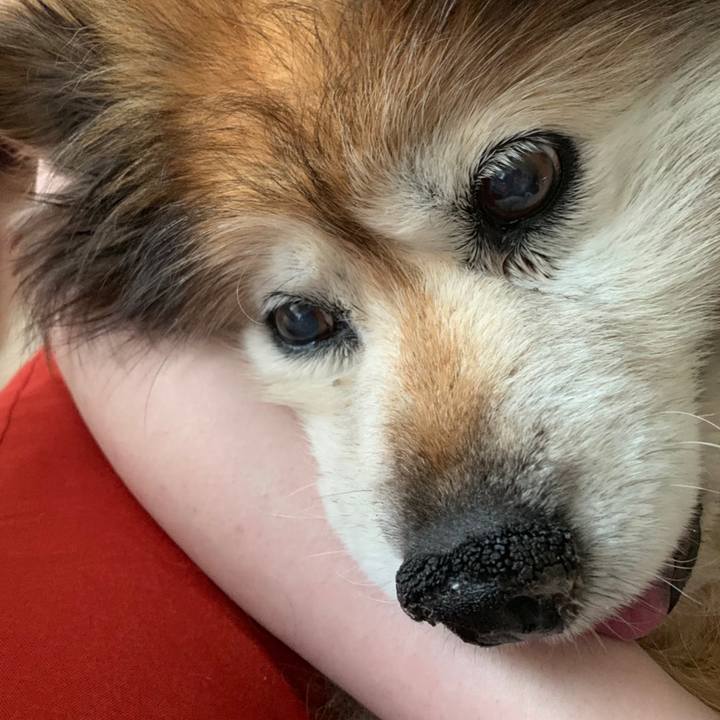 8281962b fd6d 4b2c af35 c96b74ba176e 1663028909282