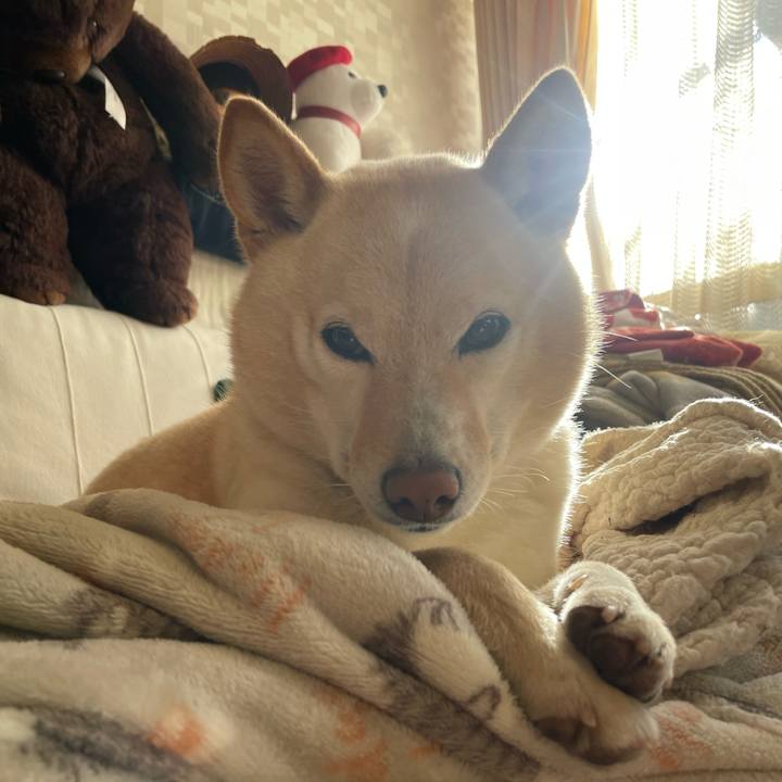 8281c573 923f 4f44 ac89 888fb5efa1ac 1677467670318