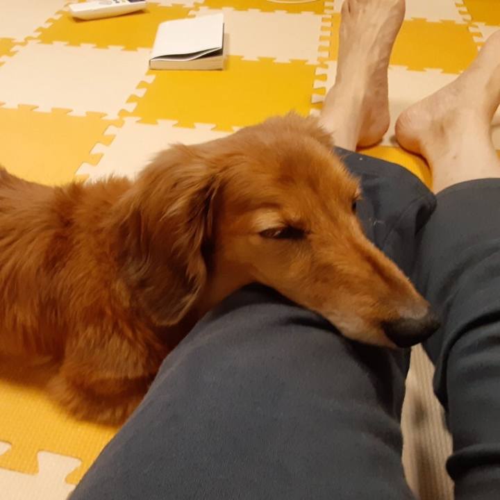 8281dcfd 2fd3 4846 af30 35dd455de714 1622291104646