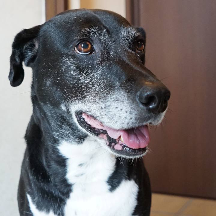 82820cdc 0fb7 44c3 9bf8 0a6fb218e171 1760750936497