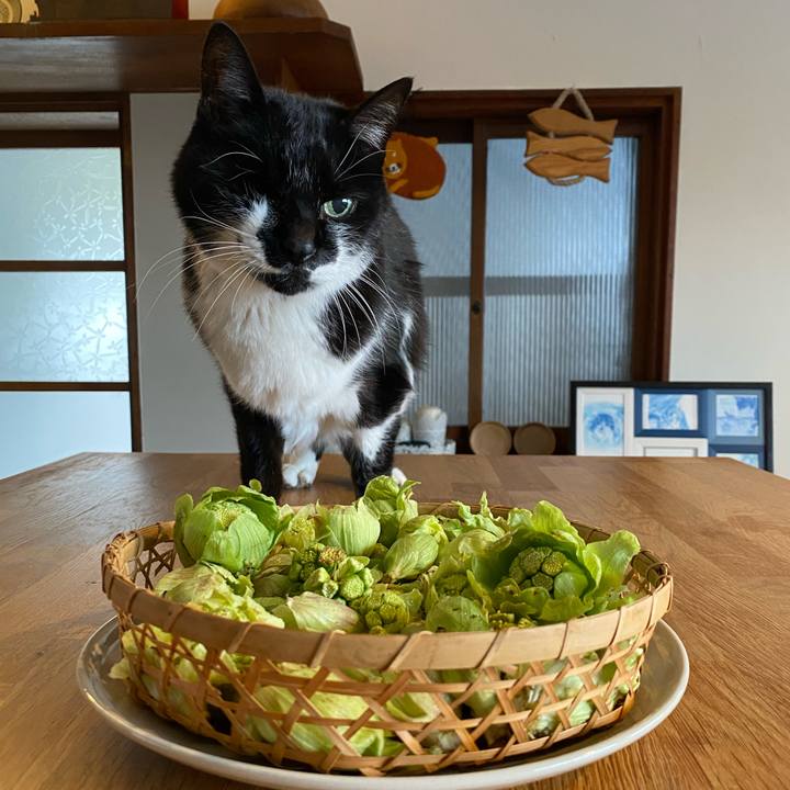 828261fa 4c1c 41ac 881f 23c499c803fa 1744528350630