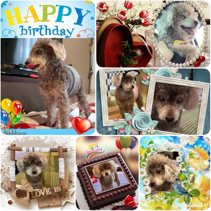 828291b3 d4af 42d9 8496 a7a547ddf6dd 1619055393026