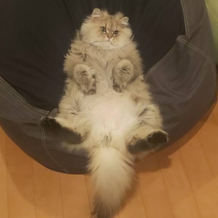 82829985 f9cc 47c5 a8b7 fbb093192d9b 1582590436840