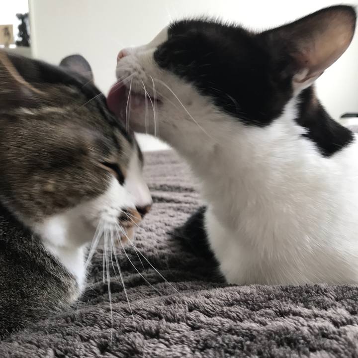 8282a7d1 a2bb 4f7a 9931 6a1542da7b5f 1510542309837