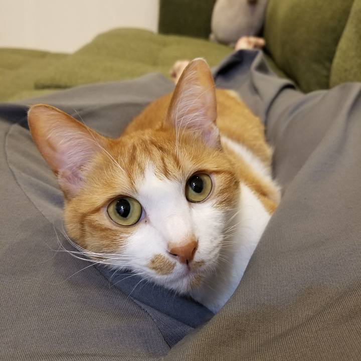 8282aa9a f385 49a3 97af 3a59649ab7f2 1587653983894